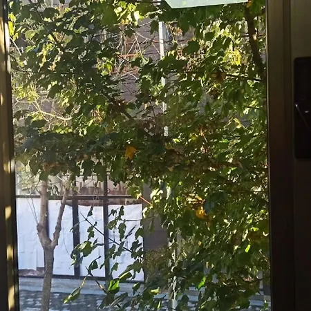 Auberge de jeunesse Royal 2 Opposite Nalu Bar